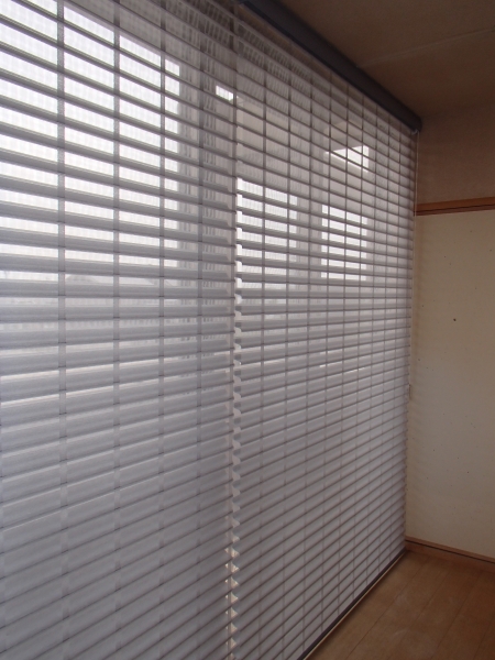 P5100062.JPG